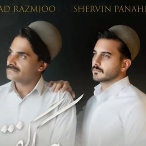 Shroin Pnahi