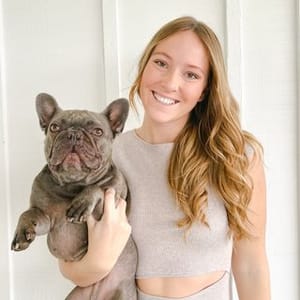 The Lilac Frenchie