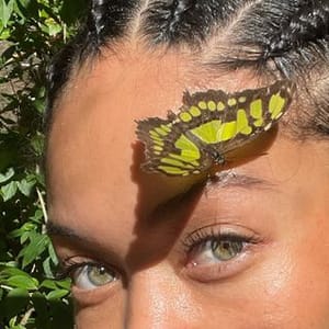 Havilah Unique