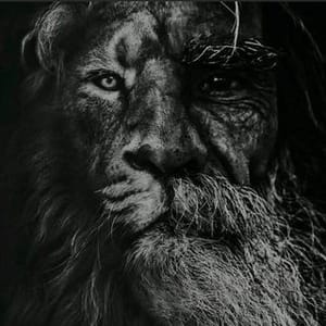 Abbas Karimi
