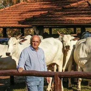 Grupo Adir
