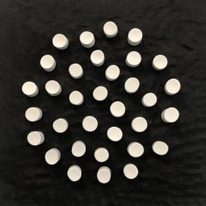 Erika Verzutti