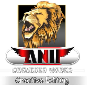 Anil Creative Works