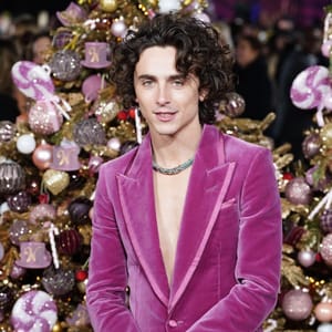 Timothee Chalamet