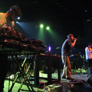 Animal Collective
