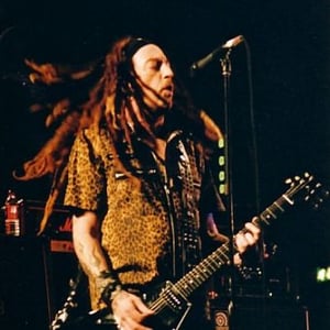 The Wildhearts