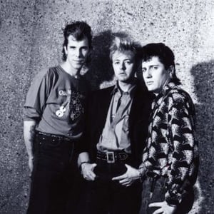 Stray Cats