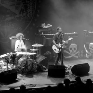 The Dandy Warhols