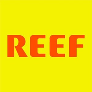 Reef