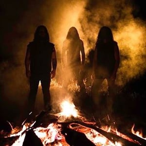 Wolves In The Throne Room