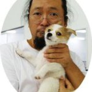 Takashi Murakami's profile Takashi Murakami