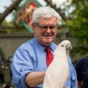 Newt Gingrich