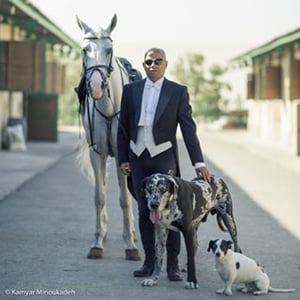 Alireza Shafaghinejad