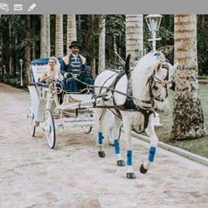 Carruagens Tomaselli