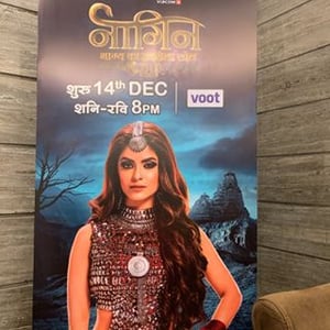 Sayantani audience summary Sayantani