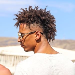 Thilo Kehrer audience summary Thilo Kehrer