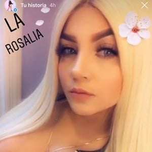 Rosaliaace