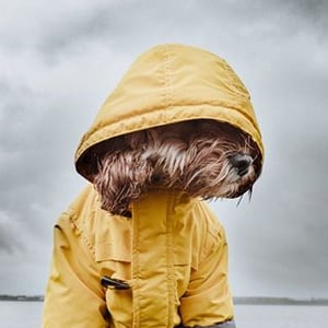 M A R L E Y  M A B E L