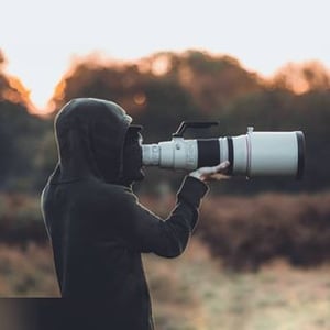 ᴊᴀᴄᴋ ᴅᴏᴅsᴏɴ