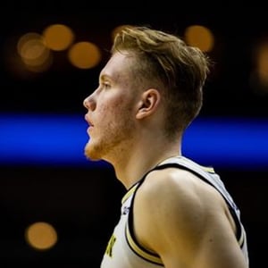 Ignas Brazdeikis audience summary Ignas Brazdeikis