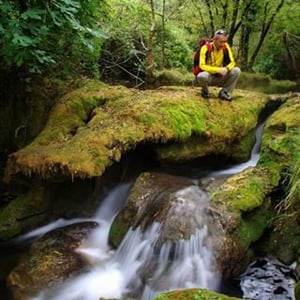 Plaisirs D’hérault