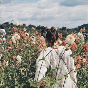 Maria Fernanda Herrera