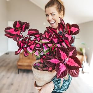 Belinda Jakobsen Ilies