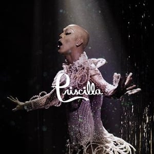 Festa Priscilla