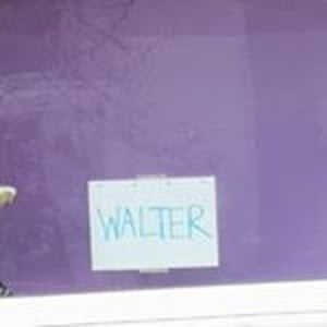 Walter Thompson-hernández