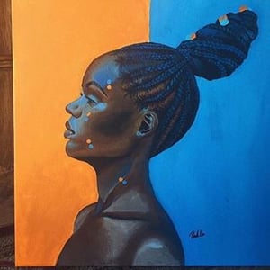 Nigerianbraids audience summary Nigerianbraids