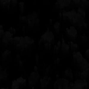 Amanda Nguyen Hammond