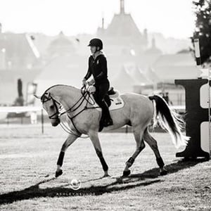 Jessica Springsteen audience summary Jessica Springsteen