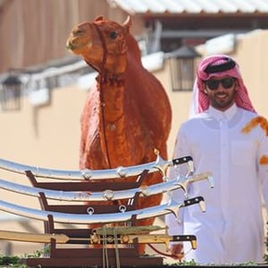 Nasser Bin Abdulla