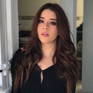 Surysadai Segunda Cuenta