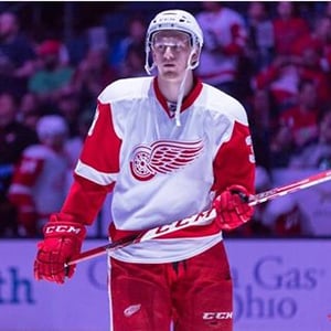 Anthony Mantha