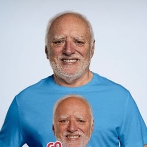 Pain Harold