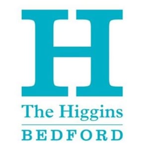 The Higgins