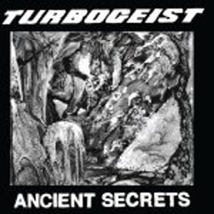 Turbogeist