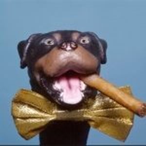 Triumph The Insult Comic Dog