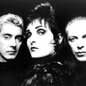 Siouxsie And The Banshees