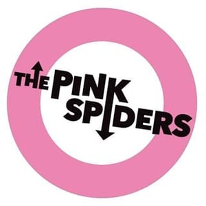 The Pink Spiders