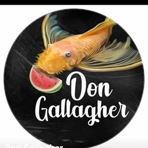 Don Gallagher