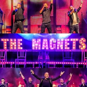 The Magnets