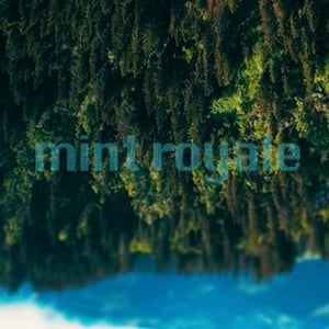 Mint Royale
