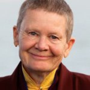 Anipemachodron