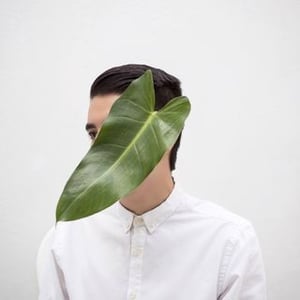 Paco De Los Monteros