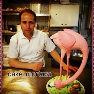 Soldosh Mrtdi Shhbazi