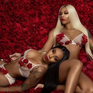 Shimmer Elite Extensions