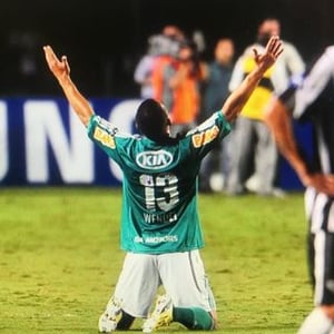 Wendel palmeiras