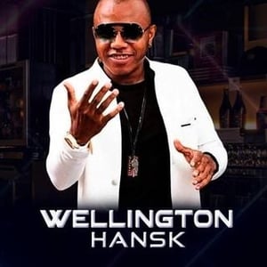 Wellington Hansk